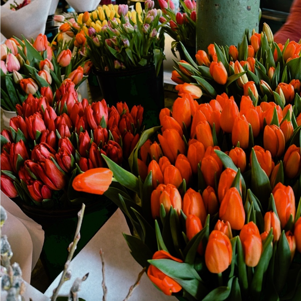 Meet your Posher, Angelica